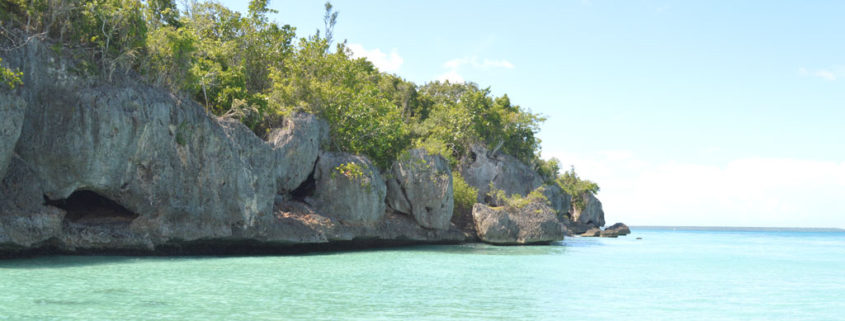 Parque nacional del este en Punta Cana